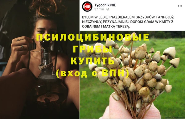 бутик Арсеньев