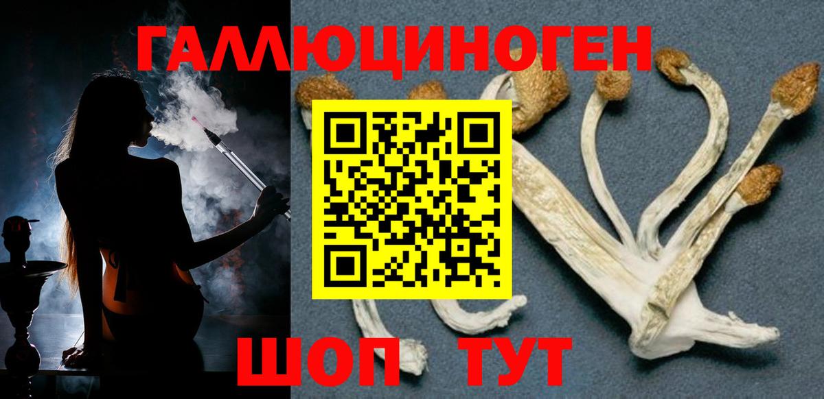 Галлюциногенные грибы мицелий  купить  сайты  Ижевск  Вход с VPN 