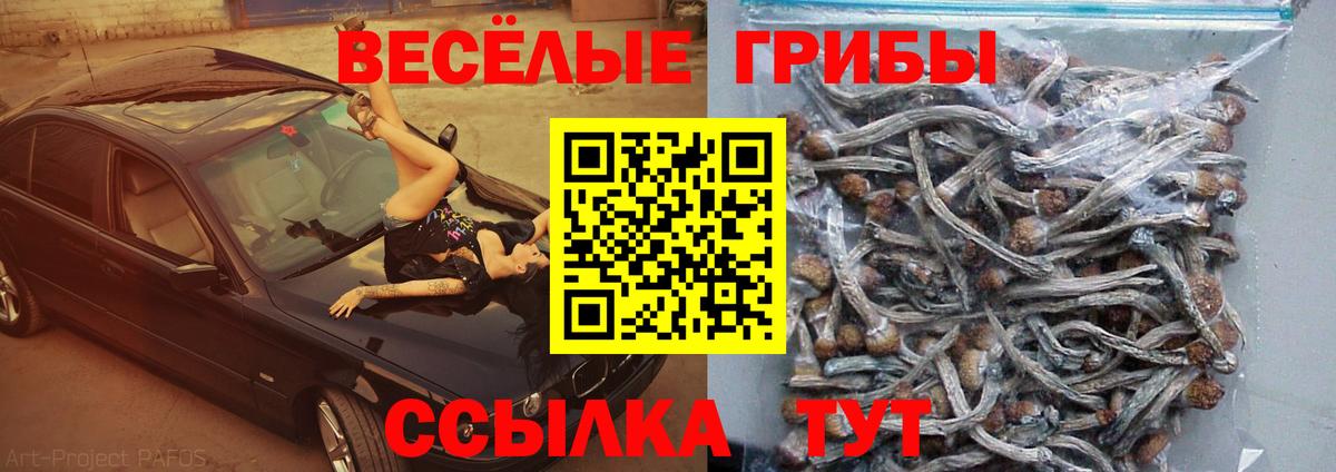 Псилоцибиновые грибы прущие грибы Ижевск